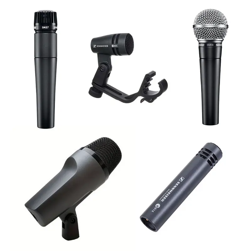 Microfoon (SM58, SM57, e602, e604, e614...)